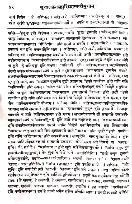 Laghusiddhantakaumudi Sudha Sanskrit tika